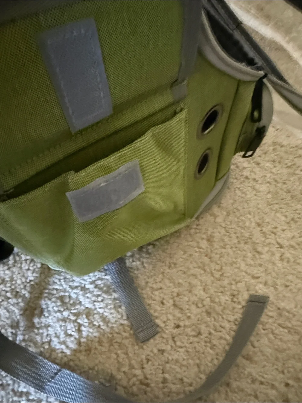 Amazon Green Bubble Pet Carrier Backpack with Clear Dome